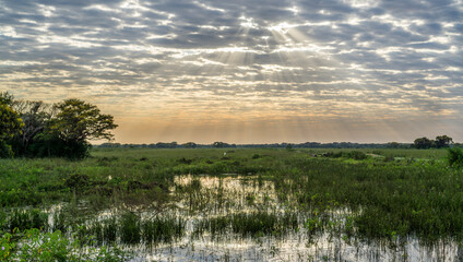 Brazilian Panantal wetlands, cloudy day and ray lights