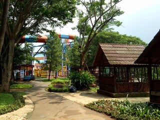 garden in the village