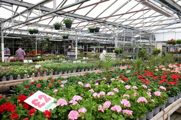 Garden centre in Watford, UK