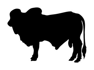 Bull silhouette in white background