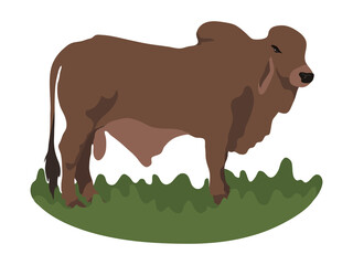 Cartoon bull illustration