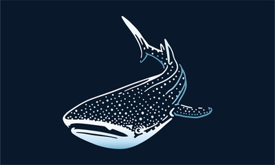 whale-shark on black background