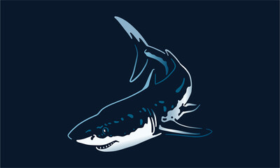 white-shark on black background