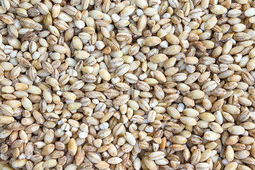 pearl barley for background, top view