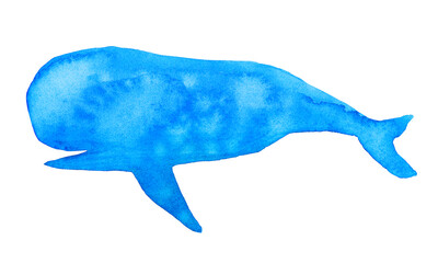Blue watercolor whale hand drawn illustration sketch.