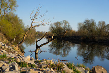 Idyllic view of a river at sunset with trees. Calm and peaceful.
