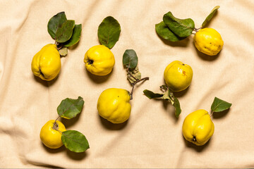 Organic grown quince apples on wrinkled linen