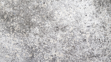 Concrete walls outside the building where black mold occurs.