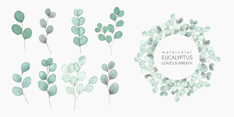 Watercolor set with eucalyptus leaves and wreath. Summer greenery hand drawn collection for floral wedding invitations, greeting cards, posters, logo and other. © viktoriiavk