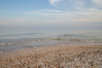 tide waves ashore from seashells. beauty