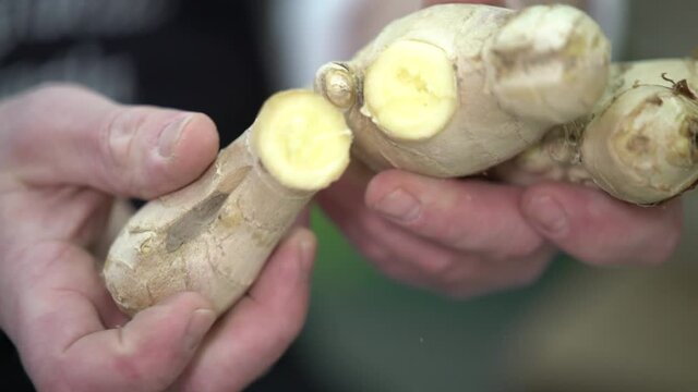 Fresh ginger syrup production manufacture 