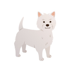 West Highland White Terrier vector. Cartoon dog illustration in flat style. Happy Westie isolated on white background