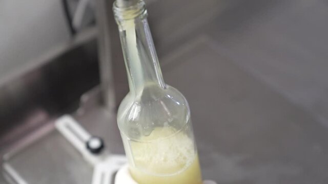 Fresh ginger syrup production manufacture 