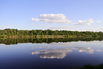 reflection of trees in water