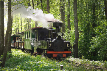 An old green train and black steam locomotive in a deciduous forest (public park). Latvia. Narrow-gauge railway, national landmarks, retro transport, history, past, historical reenactment, recreation