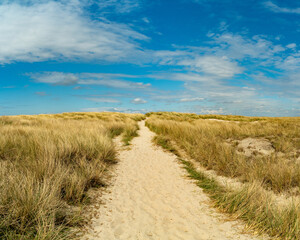 Sylt, Ellenbogen, Dünenlandschaft, Weg, Sand, Panorama, Schleswig Holstein, Nordsee, Nordseeküste