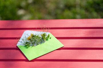 open green envelope with wildflowers on a pink wooden background. Hello from summer