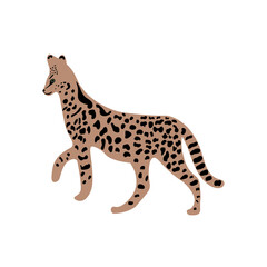 Leopard or cheetah exotic animal.  Cute cartoon character. Vector wild cat  isolated on white background. Perfect for kids app, game, book, print, cards, sticker.