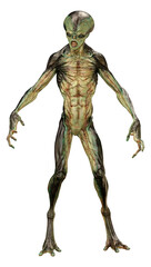 3D Rendering Green Alien on White