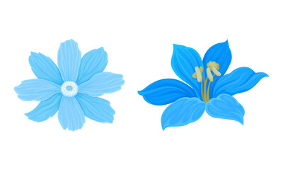 Blue Flowers with Lush Petals and Stem Vector Set