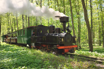 An old green train and black steam locomotive in a deciduous forest (public park). Latvia. Narrow-gauge railway, national landmarks, retro transport, history, past, historical reenactment, recreation
