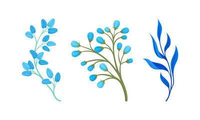 Blue Floral Twigs with Leaf and Floret on Stem Vector Set