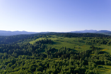 Fototapeta na wymiar AERIAL: field of spring grass mountain hill at sunny day. Wide green meadow in the foreground. bright green Siberian hills
