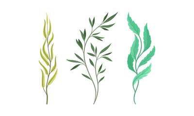 Sprigs and Twiglets with Green Leaves as Botanical Foliage Vector Set