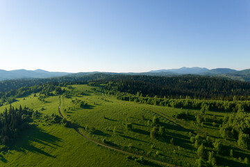 Fototapeta na wymiar AERIAL: field of spring grass mountain hill at sunny day. Wide green meadow in the foreground. bright green Siberian hills