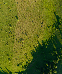 Top view aerial photo: bright green meadow in spring in the mountains. beautiful hilltop field with grooves and forest