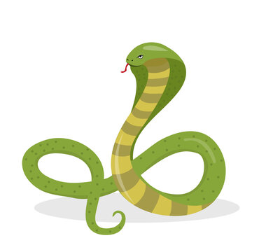 King cobra flat cartoon style. Snake isolated on white background, logo element. Vector illustration