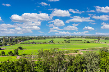 Fototapeta premium Aerial top view of Paddy field with cloudy sky.