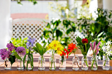 Variation or group of garden flowers in small vases or bottles. Colorful flower arrangement or...