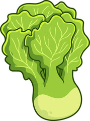 Cartoon Fresh Lettuce. Vector Hand Drawn Illustration Isolated On Transparent Background
