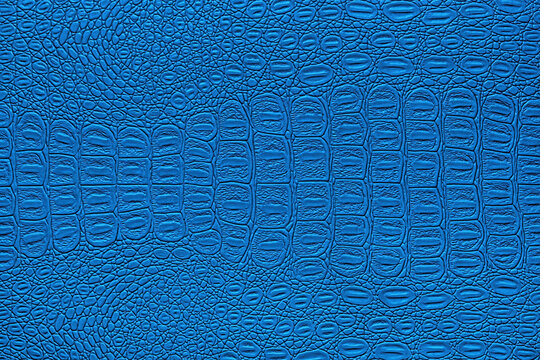 Blue crocodile leather texture. Abstract backdrop for design.