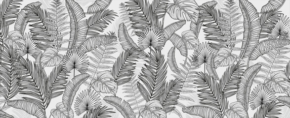 Background of tropical leaves. Palm leaves, branches, grass.