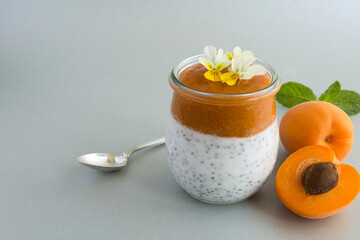 Close-up on pudding with chia seed and apricot in the glass jar on the gray background. Copy space.