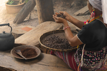 A karen tribe woman hands holding roasted coffee bean on threshing basket at wooden kitchen. People...