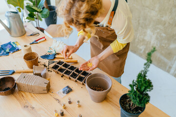View from above of female gardener working in home garden holds seeds in the palm and sowing seeds...