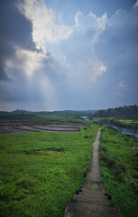 Landscape with river and blue sky.