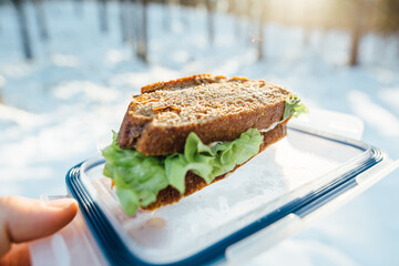 Picnic on a winter day. Salmon sandwich with fresh vegetables