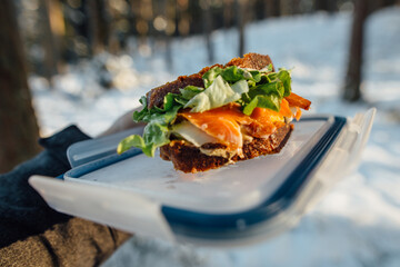 Picnic on a winter day. Salmon sandwich with fresh vegetables