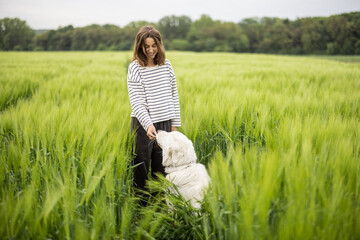 Funny big white sheepdog jumping on green rye field and playing with female owner. 