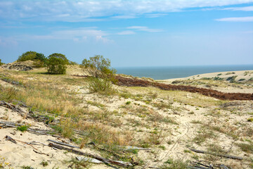 A distinctive landscape of sand dunes on the Curonian spit