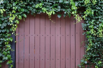 Brown wooden fence gate with green plants background