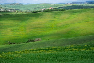 landscape with green grass and blue sky in Tuscany, Italy