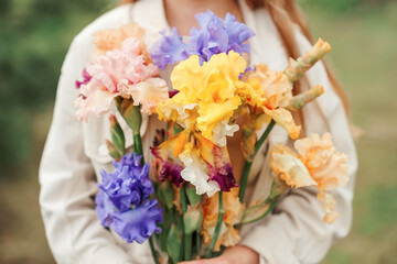 Close-up hand of young girl or woman in a beige dress holds colourful bouquet of bearded irises....