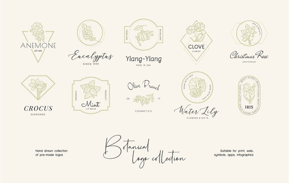 Hand drawn line art floral vector logo design collection. Botanical illustrations of elegant signs and badges for beauty, cosmetics, spa and wellness, fashion, wedding agency.