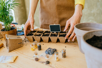 Ecological garden, sowing plants into pots of peat at home .Close up of female gardener hands sowing seeds of pepper are cares sown into pots of peat indoor.