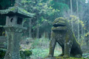 上色見熊野神社　狛犬